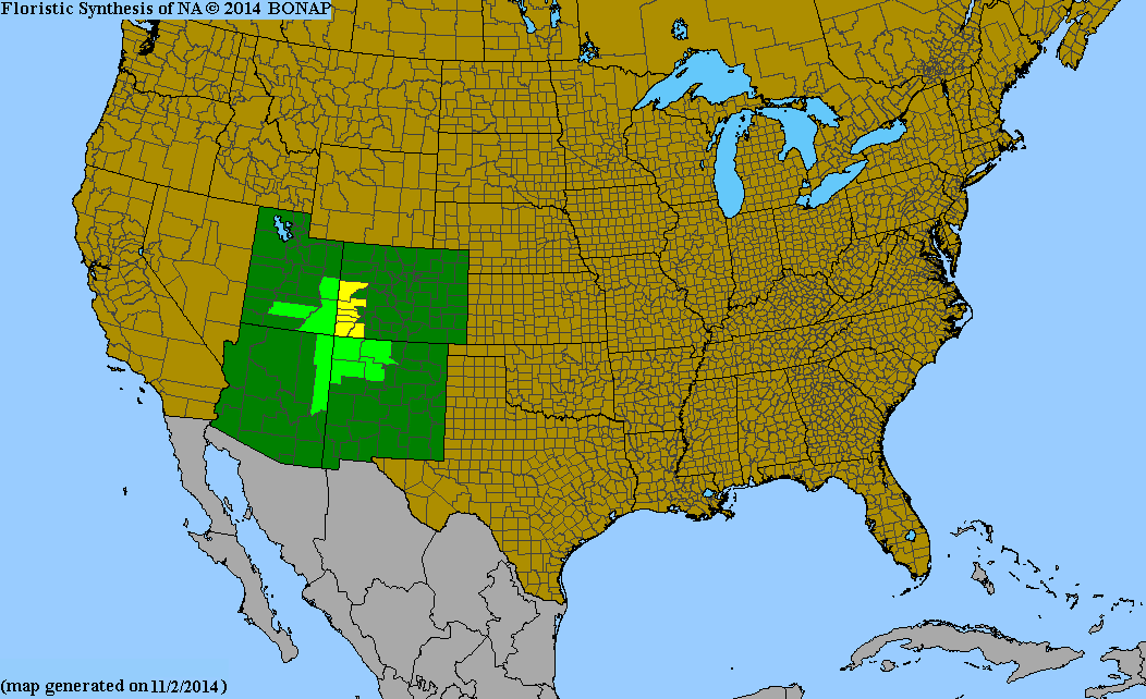 County distribution map of Aliciella haydenii ssp. haydenii - San Juan Cheat Gily-Flower